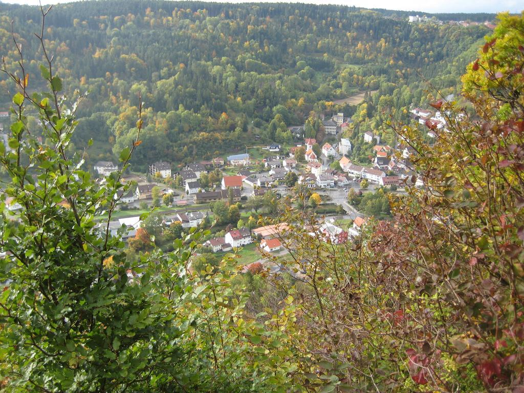 Gaestehaus Krone Oberndorf am Neckar Ruang foto